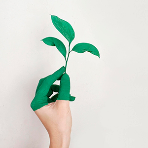 O Perigo do Greenwashing