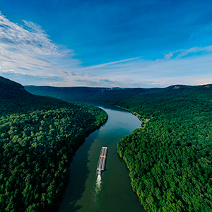 Os objetivos do Desenvolvimento Sustentável